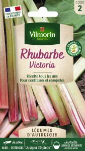 Rhubarbe Victoria - Légumes d'Autrefois